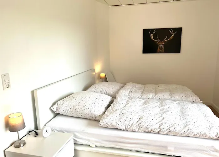 Hahnenkleer Tied 1 * 戈斯拉尔