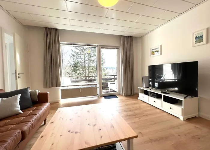 公寓 Hahnenkleer Tied 1 戈斯拉尔